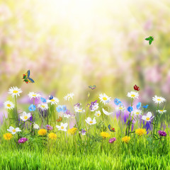 Floral meadow and butterfly