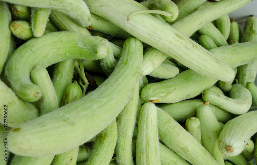 Mexican Zucchini (Calabasas) sold at local market Mexican Zucchini (Calabasas) sold at local market