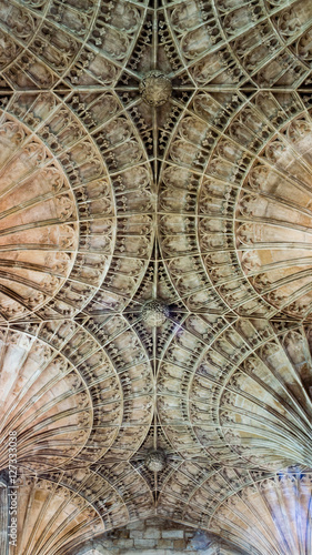 Peterborough Cathedral Vault