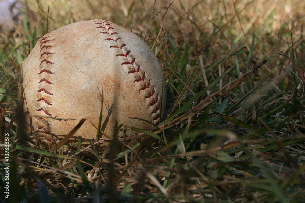 A softball in the grass