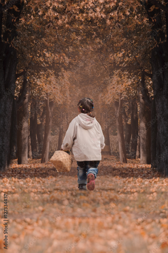 Little girl running with a basket in the autumn forest Little girl running with a basket in the autumn forest