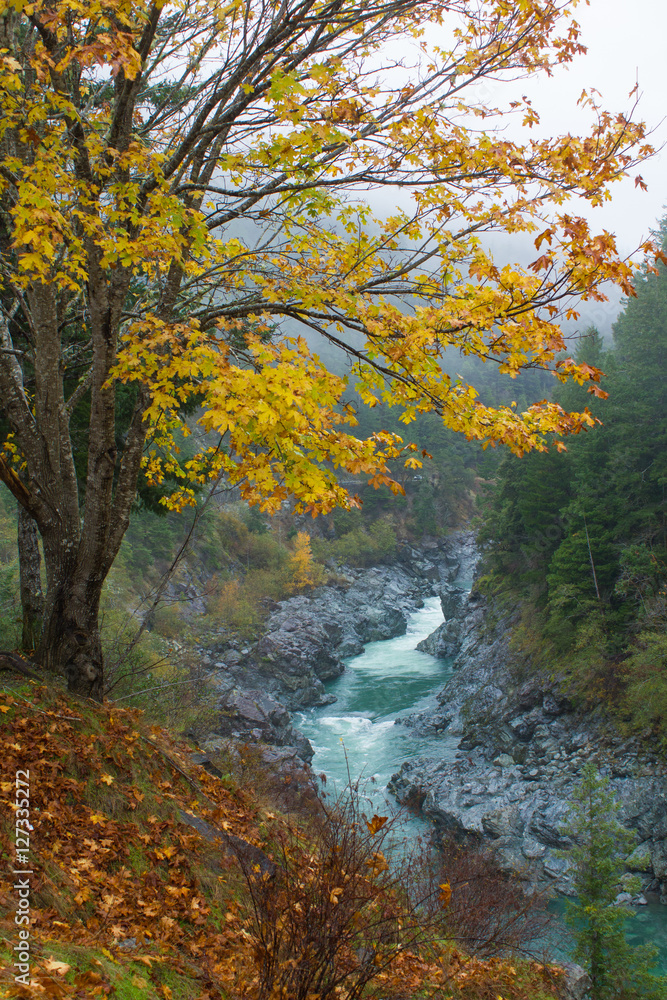 Fall colours over valley Fall colours over valley