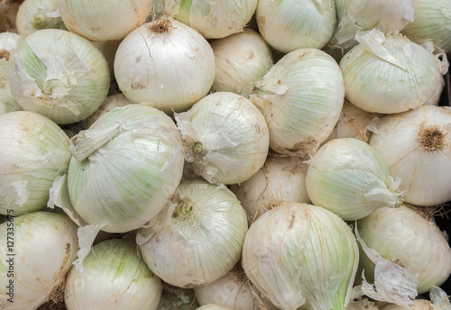 White onion  at city market for sale