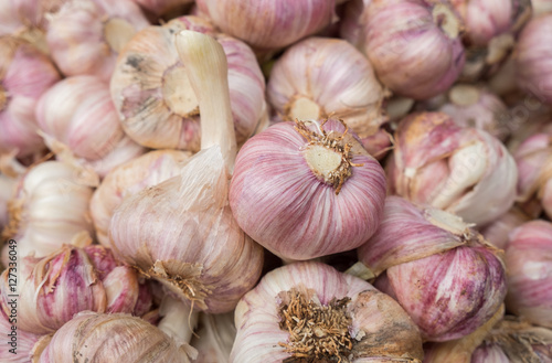 fresh garlics at city market for sale