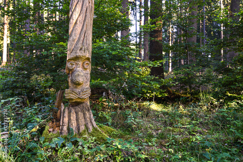 Holzgesicht photo