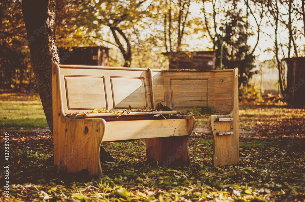 alte Holzbank im Herbstlaub, sonnig, warme Farben alte Holzbank im Herbstlaub, sonnig, warme Farben
