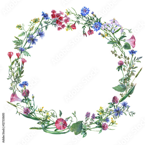 Wreath border frame with summer herbs, meadow flowers. Watercolor hand painting illustration on isolate white background.