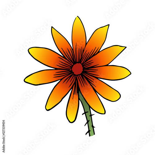 rudbeckia flower vector scetch