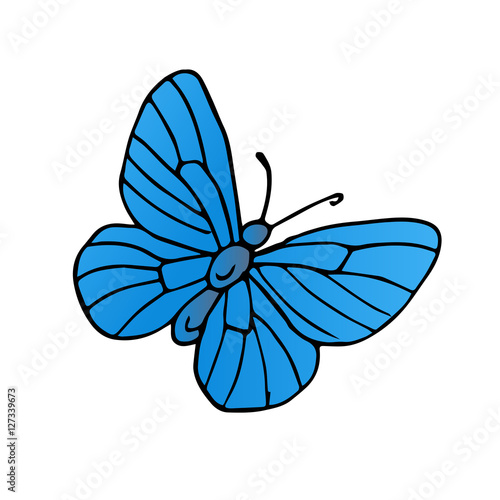 butterfly vector scetch