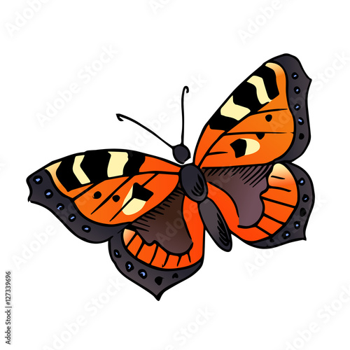 butterfly urticaria vector scetch