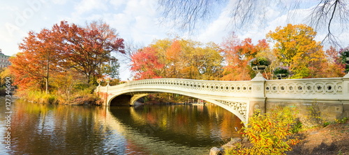 Central park autumn scene, New York