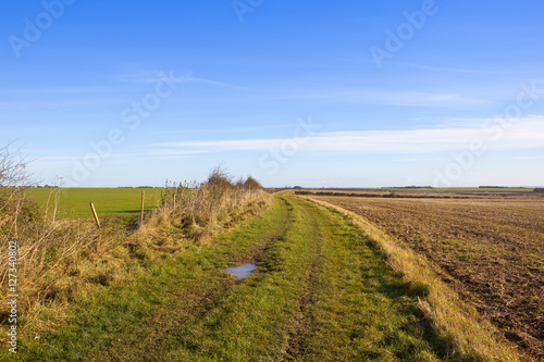 autumn footpath