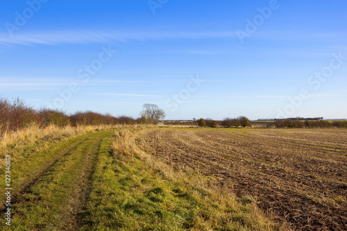 footpath and hawthorn hedgerow