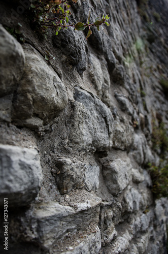 Stone wall