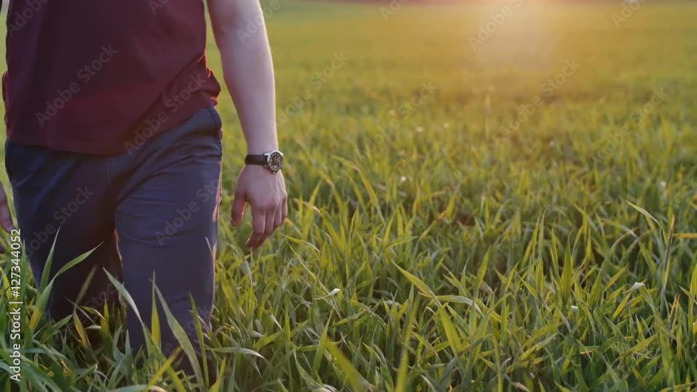 Close-up of lovers taking each other by the hand. Man and woman walk in long grass at sunset. Slow mo, steadicam shot. Close-up of lovers taking each other by the hand. Man and woman walk in long grass at sunset. Slow mo, steadicam shot.