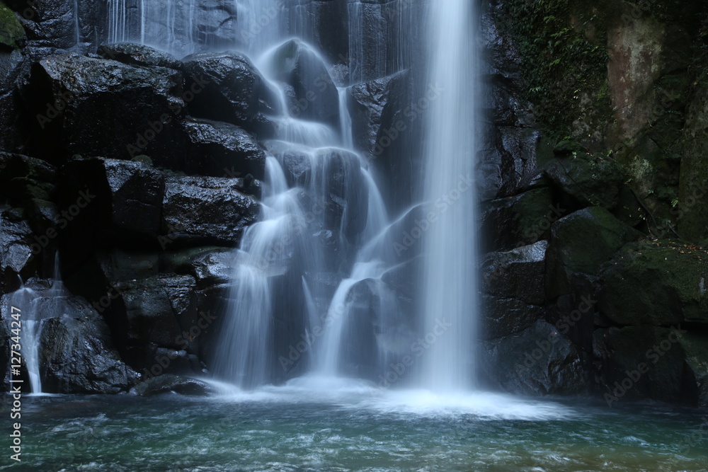 桑の木の滝 桑の木の滝