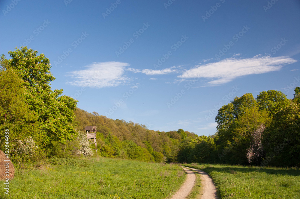 Fototapeta premium Hunters cottage, lookout tower