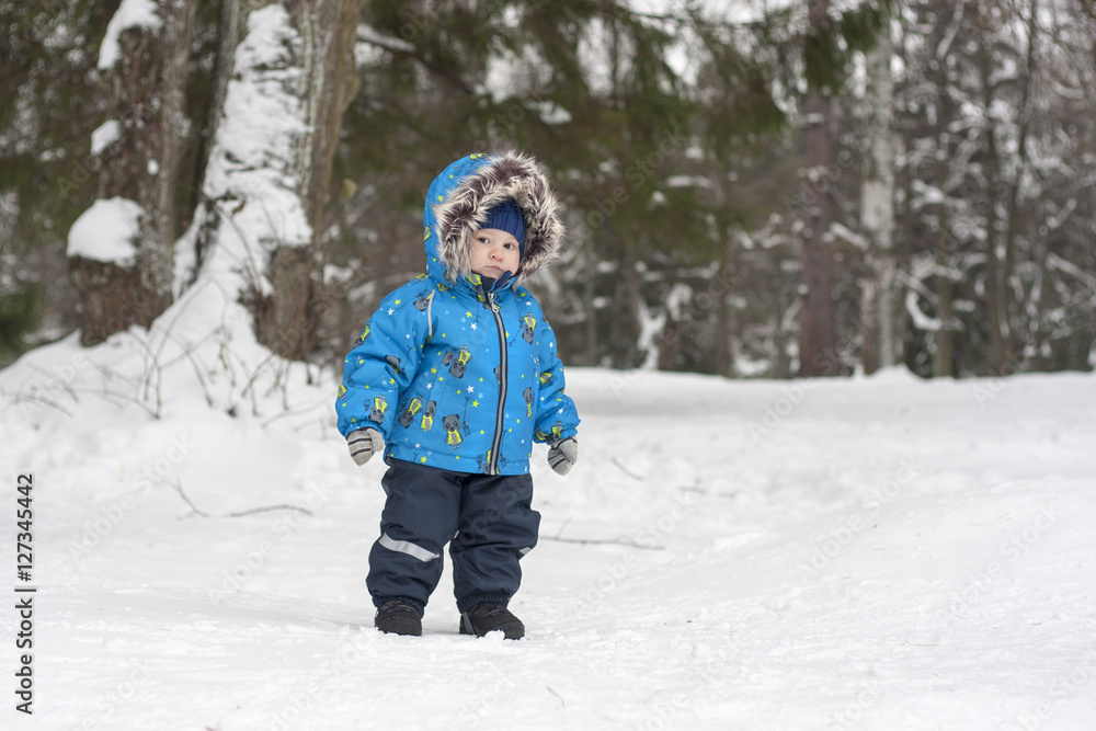 Baby boy in winter snow forest wandering among pine trees. Boy w