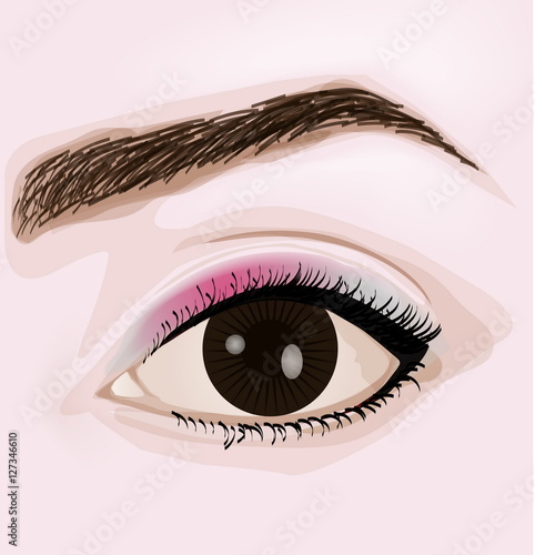 Woman brown eye with make-up vector