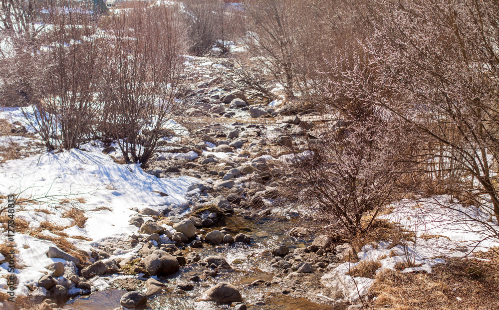 A cold river flows between stones, snow and bare trees A cold river flows between stones, snow and bare trees