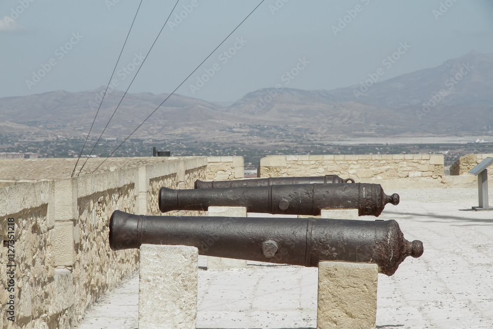 cannons in the fortress
