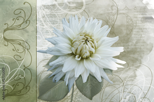 White summer flower on a vintage background