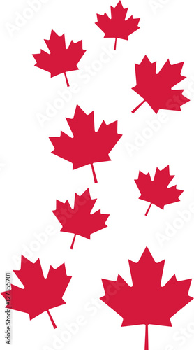 Pattern of maple leaves