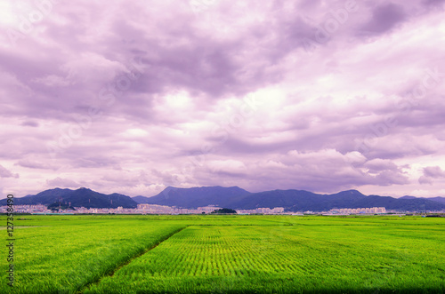 rice city mountains