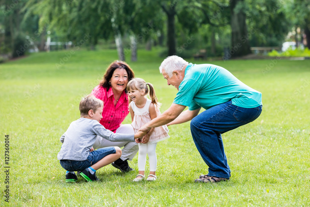 Fototapeta premium Happy Grandparent And Grandchildren In Park