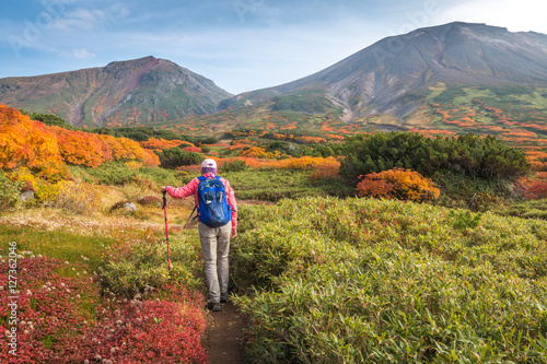 Woman hiking among autumn colors on hiking trail toward Asahidake in Daisetsuzan, Hokkaido, Japan.