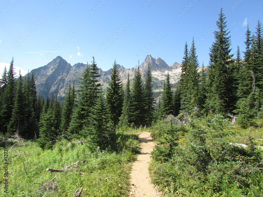 Blue Lake Trail in the Okanogan-Wenatchee National Forest with Western Spruce Trees