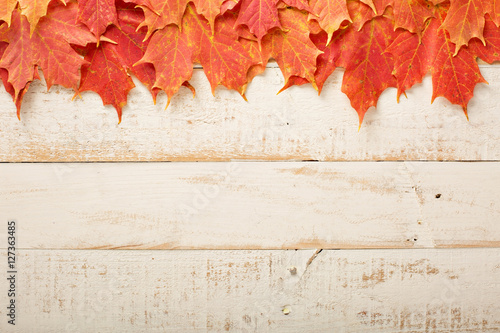 Fall leaves frame on whooden background photo