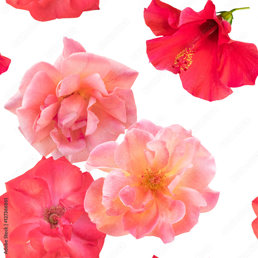 Seamless photo rose and hibiscus floral pattern on white Seamless photo rose and hibiscus floral pattern on white