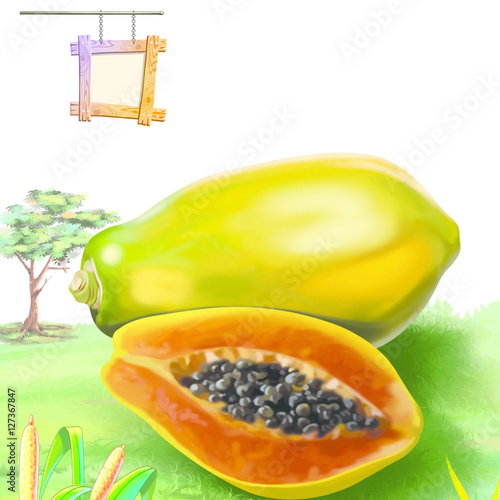 Papaya