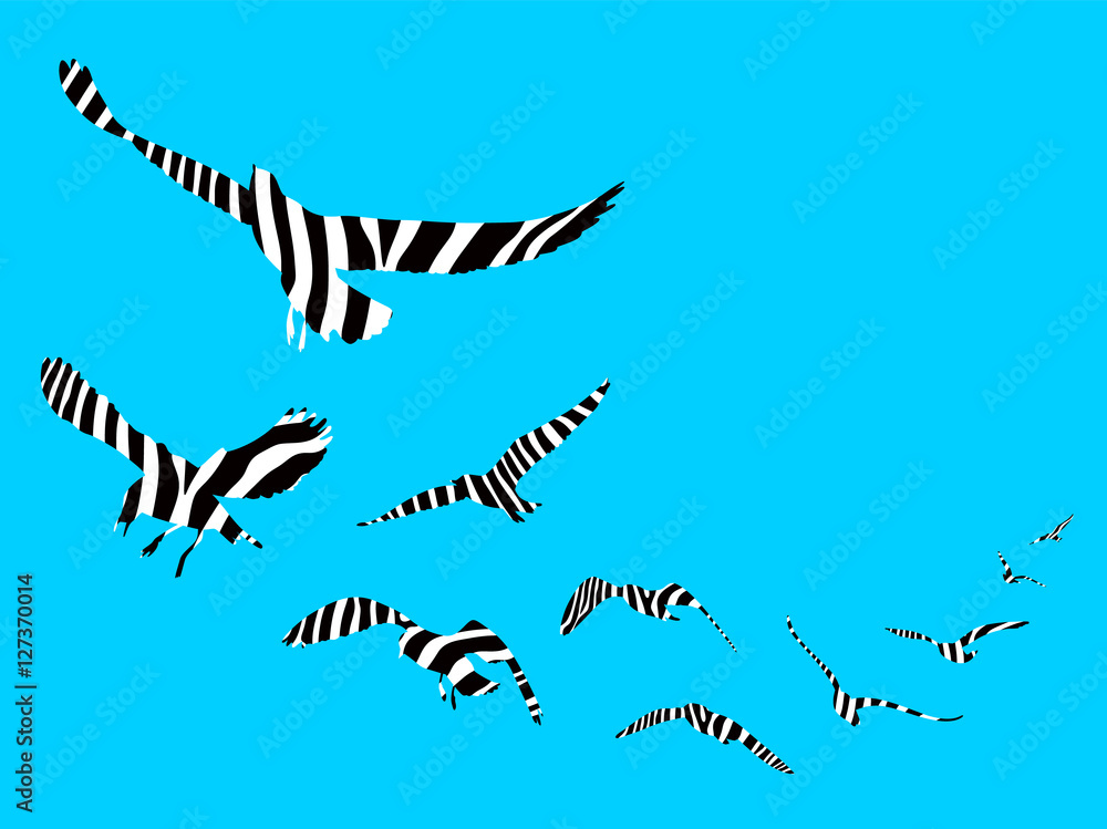 Seagull with stripe decoration. silhouette on white background, Vector Illustration