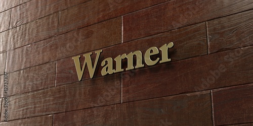 Warner - Bronze plaque mounted on maple wood wall  - 3D rendered royalty free stock picture. This image can be used for an online website banner ad or a print postcard. photo