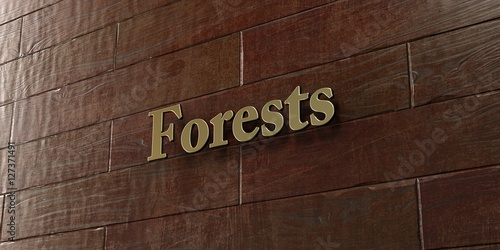 Forests - Bronze plaque mounted on maple wood wall - 3D rendered royalty free stock picture. This image can be used for an online website banner ad or a print postcard.