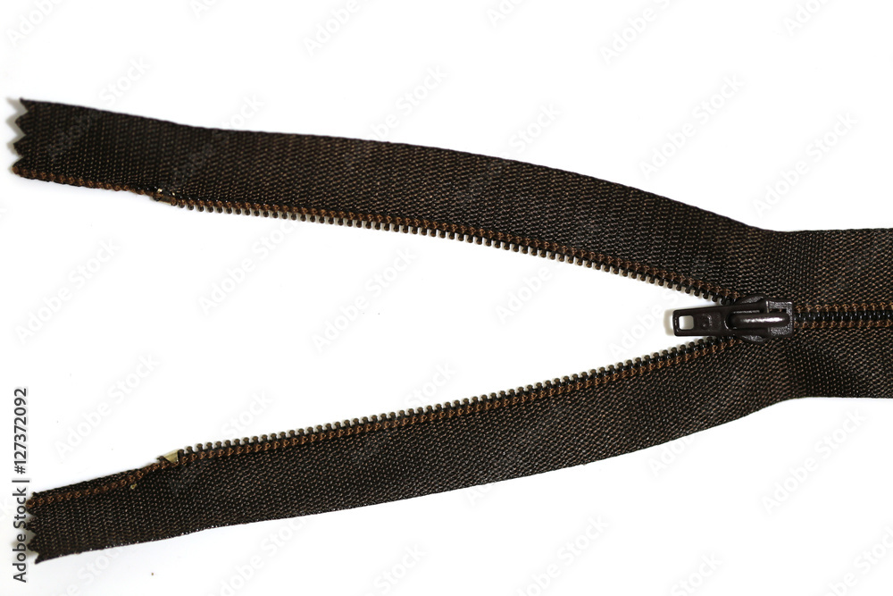 zip brown isolated on white background zip brown isolated on white background
