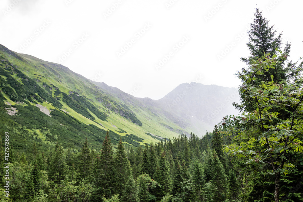 Fototapeta premium foggy mountain lake in summer
