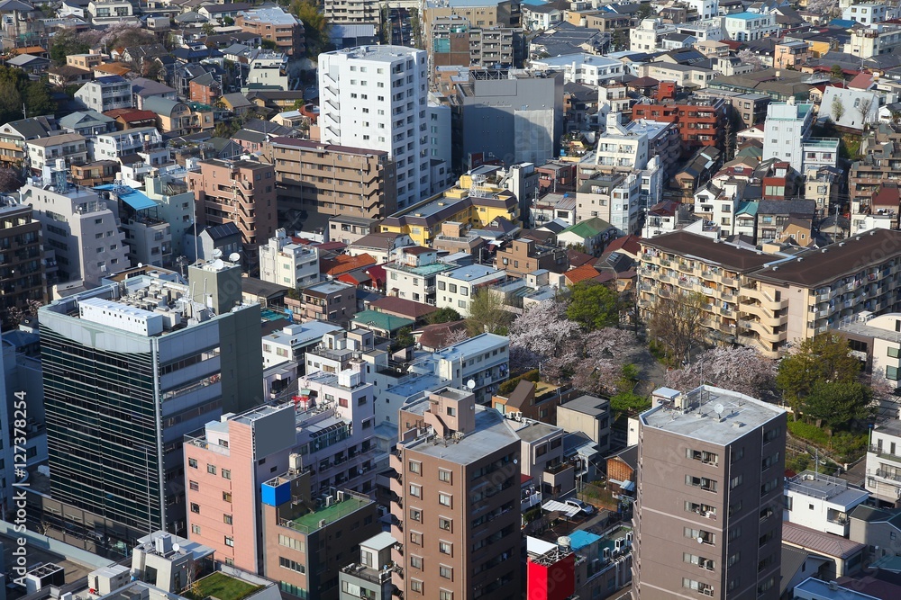Fototapeta premium Tokyo, Japan
