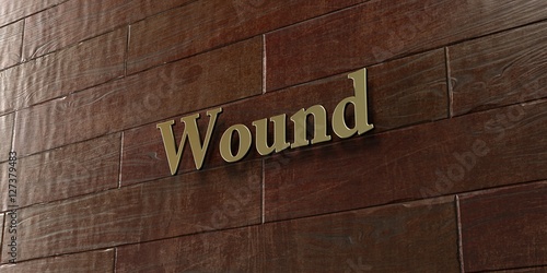 Wound - Bronze plaque mounted on maple wood wall - 3D rendered royalty free stock picture. This image can be used for an online website banner ad or a print postcard.