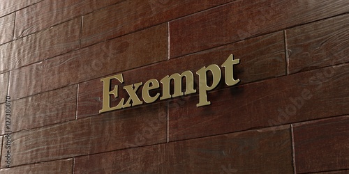 Exempt - Bronze plaque mounted on maple wood wall - 3D rendered royalty free stock picture. This image can be used for an online website banner ad or a print postcard.