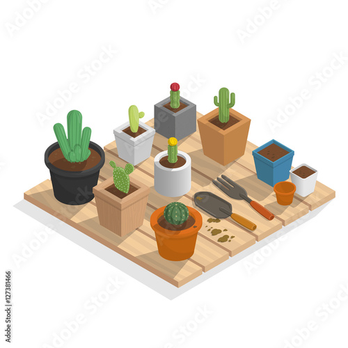 plant cactus in many pot on wood isometric on white background