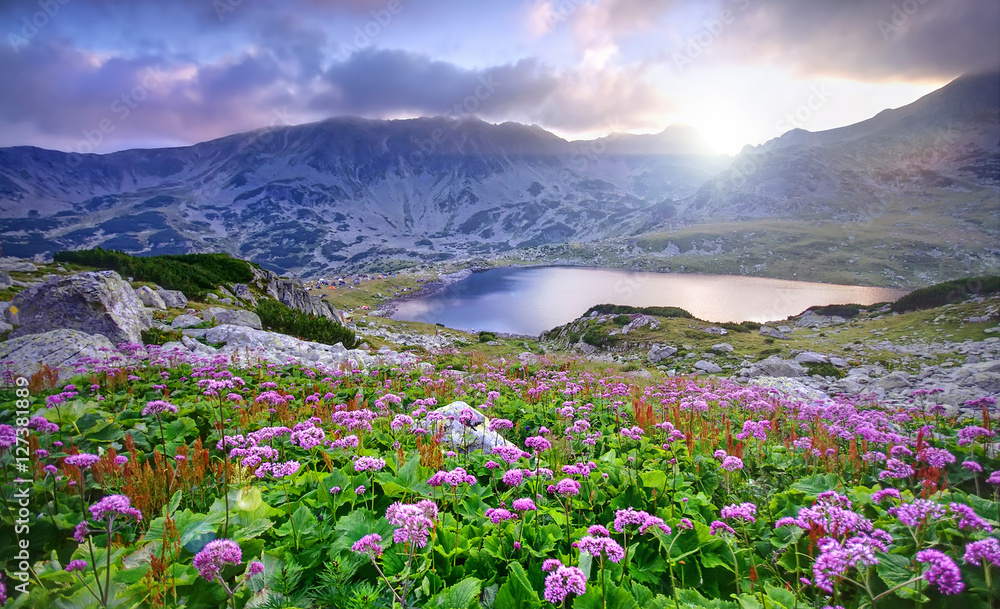 lake on mountain and flowers