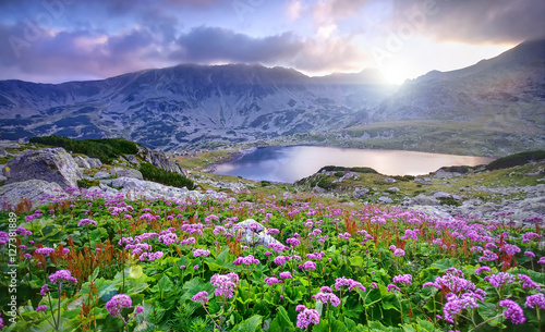 lake on mountain and flowers