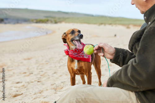 Man and dog on beach, Constantine Bay, Cornwall, UK