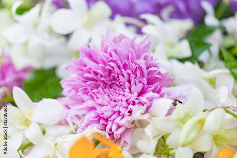 Bouquet of flowers Purple chrysanthemums with orchid Bouquet of flowers Purple chrysanthemums with orchid