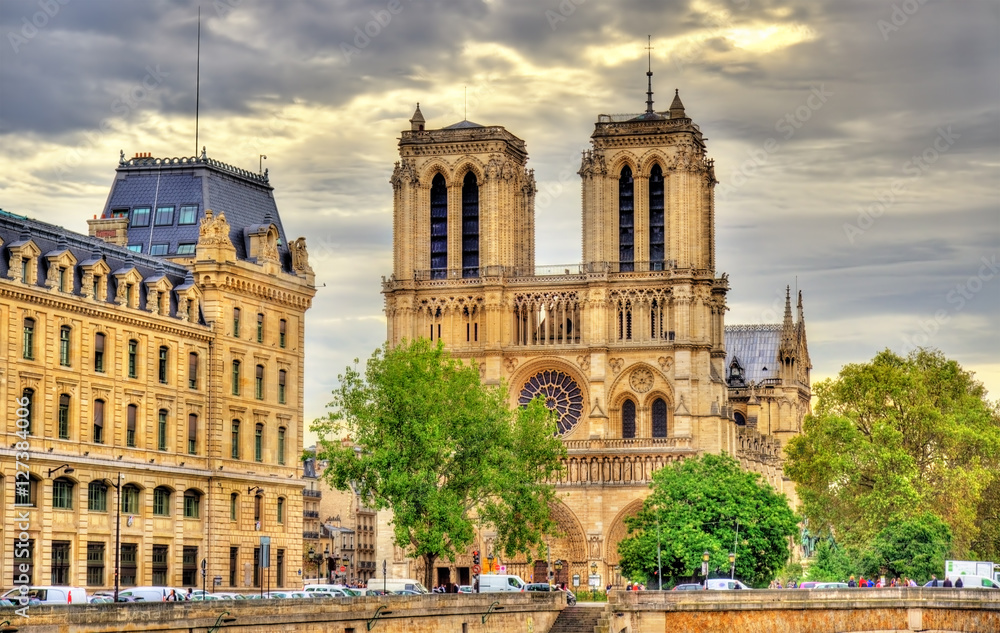 Obraz premium Notre-Dame Cathedral in Paris - France