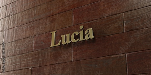Lucia - Bronze plaque mounted on maple wood wall - 3D rendered royalty free stock picture. This image can be used for an online website banner ad or a print postcard.
