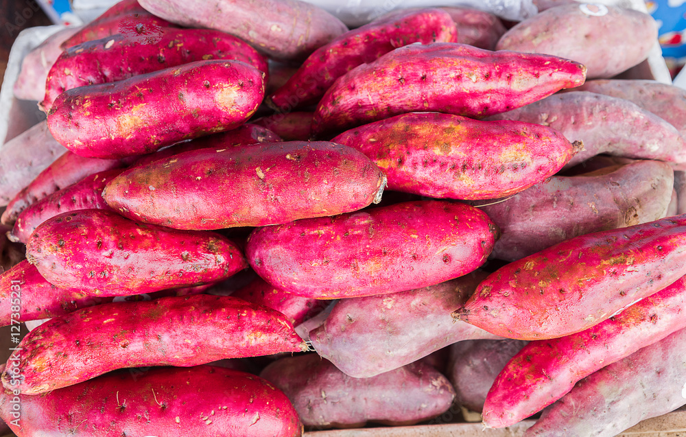 Fresh yam at the market in thailand Fresh yam at the market in thailand
